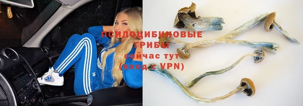 соль ск Аркадак